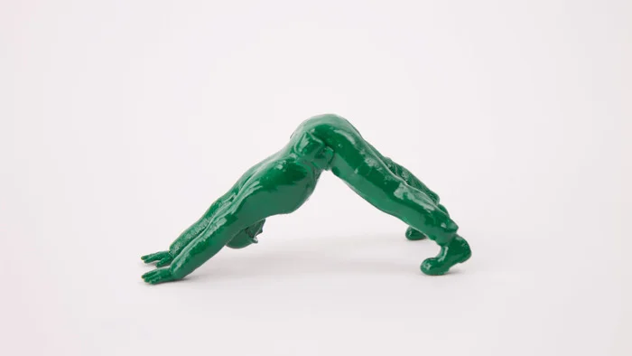 yogadownwarddog